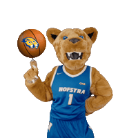 New York Basketball Sticker by Hofstra University