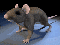 c4d GIF by Martin Onassis