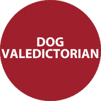 dog Sticker by SchoolForTheDogs