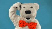Headscratcher What GIF by Ohio Northern University