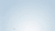GIF by Omlie Consulting