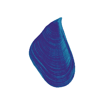 nortesurfest giphyupload surf recorde nortesurfest Sticker