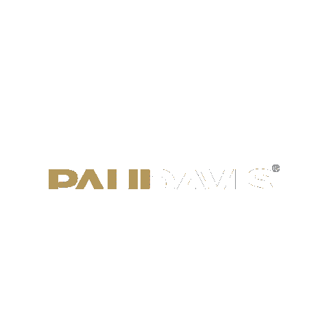 PaulDavisCTIL giphygifmaker logo fire paul Sticker