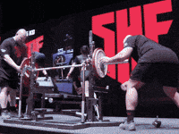 Usa Natalie GIF by SBDApparel