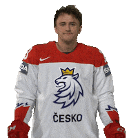 Celebration Sticker by Národní tým