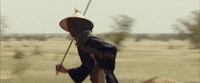 Cows Senegal GIF by TIFF