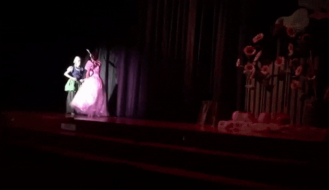 transformation cinderella GIF by Eric