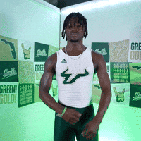 South Florida Horns Up GIF by USF Athletics