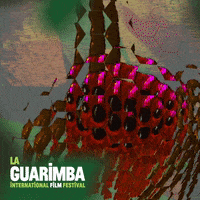 Tripping Watch Out GIF by La Guarimba Film Festival
