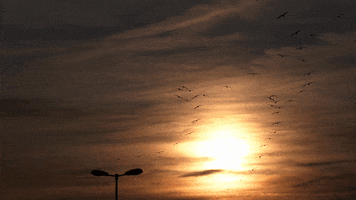 Digital Art Sun GIF by A. L. Crego