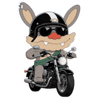Happy Sunday Morning Sticker