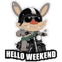 Happy Sunday Morning Sticker