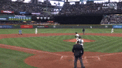 Blue Jays Running GIF by MLB