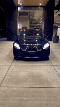 Bing GIF