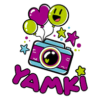 Camara Fiest Sticker