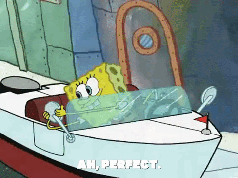 season 5 GIF by SpongeBob SquarePants