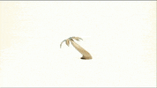 stop motion animation GIF by Channel Frederator