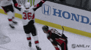 happy ice hockey GIF by NHL