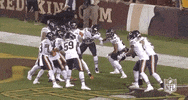 Regular Season Football GIF by NFL