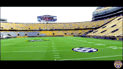 College Sports Sport GIF by LSU Tigers