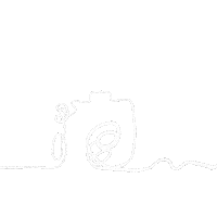 Camera Line Sticker