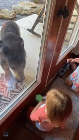 Kids Delighted by Bear's Visit to Family Holiday Cabin