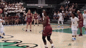 women's basketball GIF by GreenWave