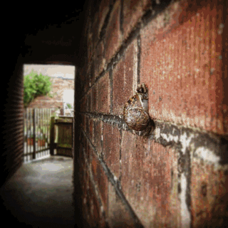 warrenwoodhouse loop warrenwoodhouse GIF