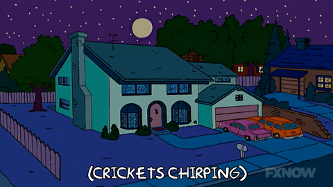 Episode 16 Nighttime GIF by The Simpsons