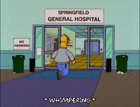 homer simpson GIF