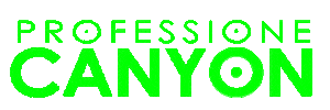 Canyon Sticker by Searching emotions