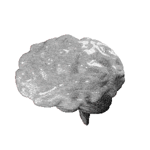 medienanstalt-nrw giphyupload fake fake news denken Sticker