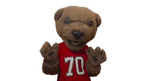 cornell university touchdown Sticker