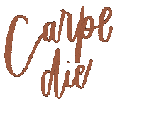 Seize The Day Carpe Diem Sticker