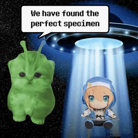 Brisketposting giphyupload GIF