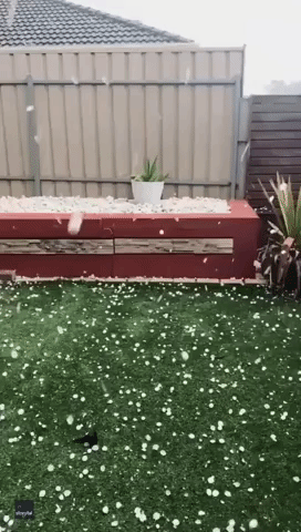 Large Hail Stones Pummel Parts of South Australia Amid Severe Thunderstorm