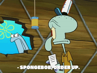 season 8 GIF by SpongeBob SquarePants