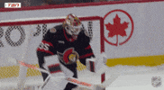 Happy Ottawa Senators GIF by NHL