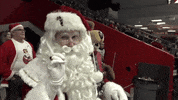 santa claus no GIF by Ottawa 67's