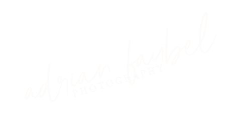 adrianfaubel giphyupload Sticker