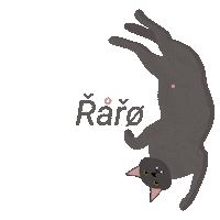 MonsteraCommunicationLab cat kitten ivan raro Sticker