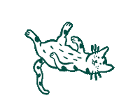 franklinpetfood cat fun cats funnycat Sticker