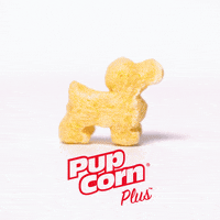 Pup GIF by Sunshine Mills