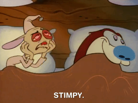 ren and stimpy nicksplat GIF