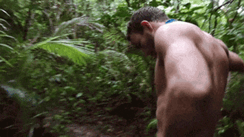 australia GIF by Australian Survivor