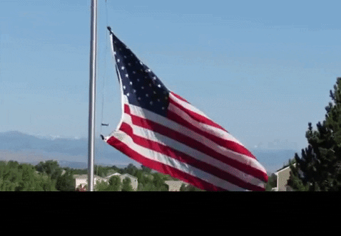 spsweeney91 giphygifmaker waves justice liberty GIF