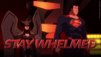 Stay Calm Justice League GIF by DC