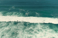 california GIF