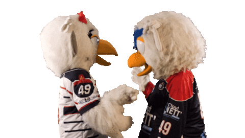 Celebration Sticker by Les Ducs d'Angers