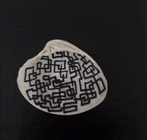 Art Shell GIF by Tienqa